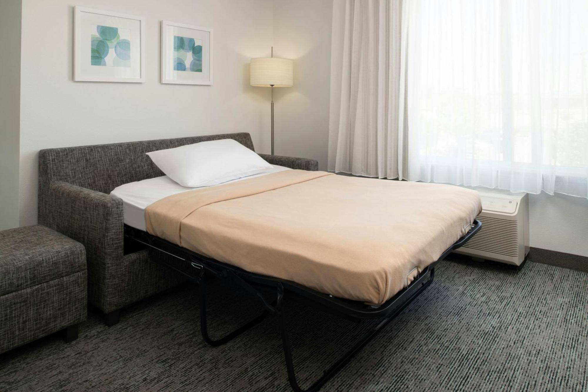 2 Bedroom Suite,1699017766:JPEG